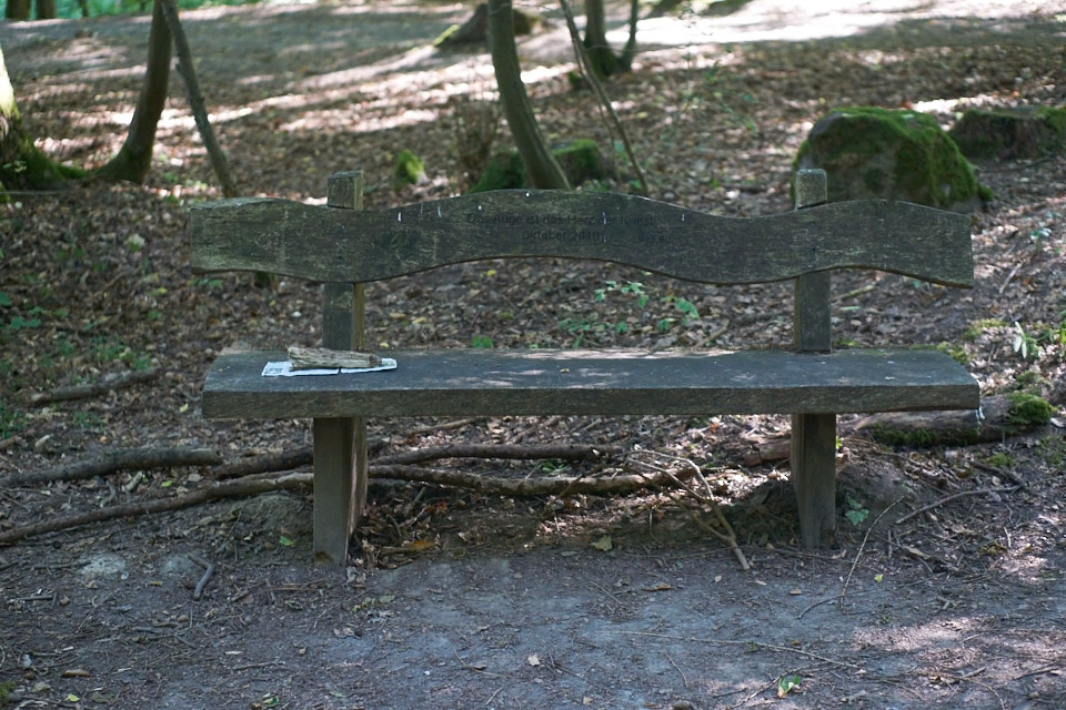 Künstler-Nekropole-Wald-Oskar-Blase-Udo-Dossi-Ruhnau-Kassel-Lena-Gehrmann-Sebastian-Tam-Sommer-Warm-Sonne 12