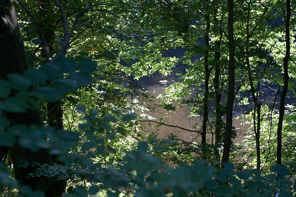 Künstler-Nekropole-Wald-Oskar-Blase-Udo-Dossi-Ruhnau-Kassel-Lena-Gehrmann-Sebastian-Tam-Sommer-Warm-Sonne 6