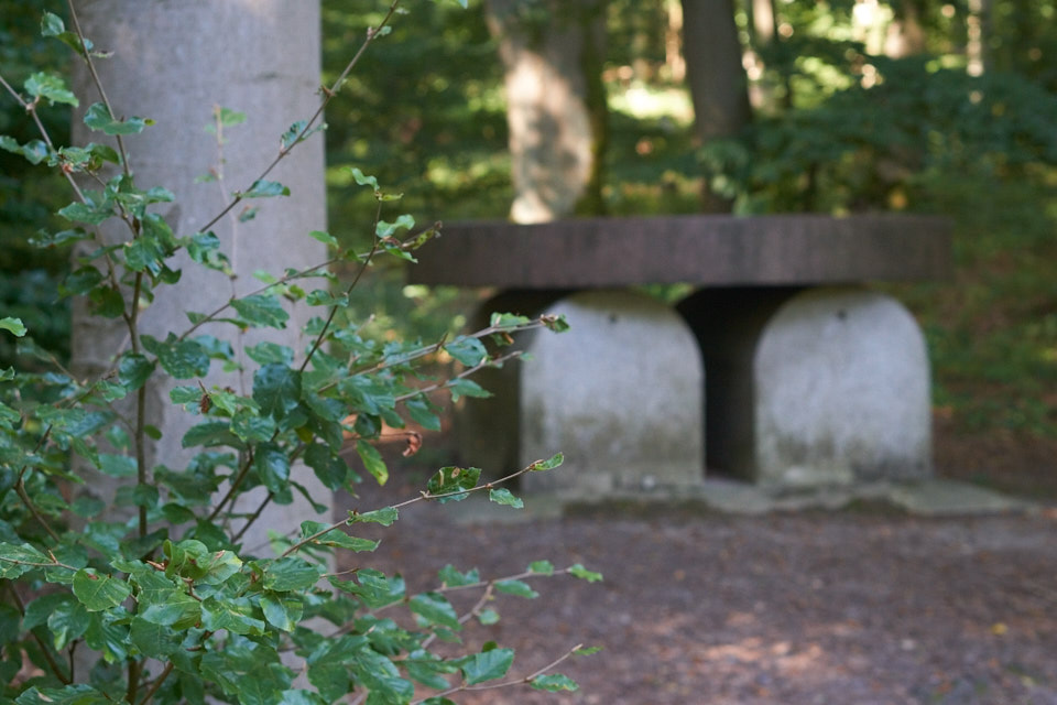 Künstler-Nekropole-Wald-Oskar-Blase-Udo-Dossi-Ruhnau-Kassel-Lena-Gehrmann-Sebastian-Tam-Sommer-Warm-Sonne 7