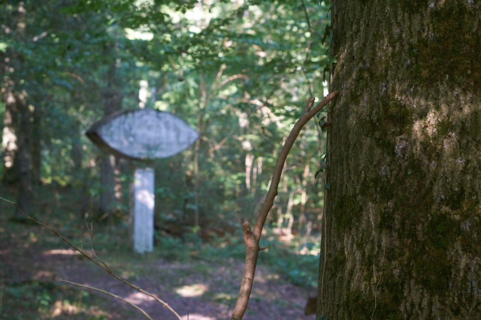 Künstler-Nekropole-Wald-Oskar-Blase-Udo-Dossi-Ruhnau-Kassel-Lena-Gehrmann-Sebastian-Tam-Sommer-Warm-Sonne 9