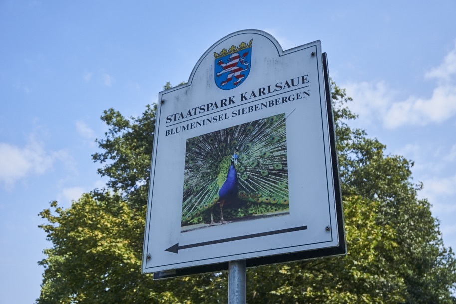 fuldaufer-kassel-insel-sieben-bergen-aue-staatspark-karlsaue-blumen-entdecken-pfau-lena-gehrmann-sebastian-tam-1