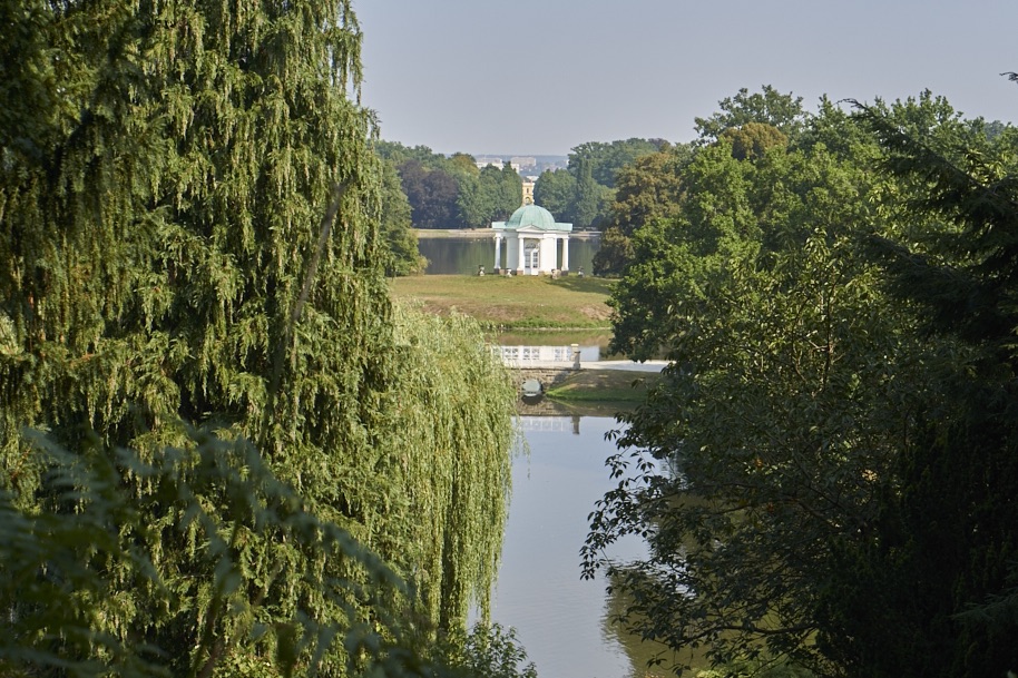 fuldaufer-kassel-insel-sieben-bergen-aue-staatspark-karlsaue-blumen-entdecken-pfau-lena-gehrmann-sebastian-tam-18