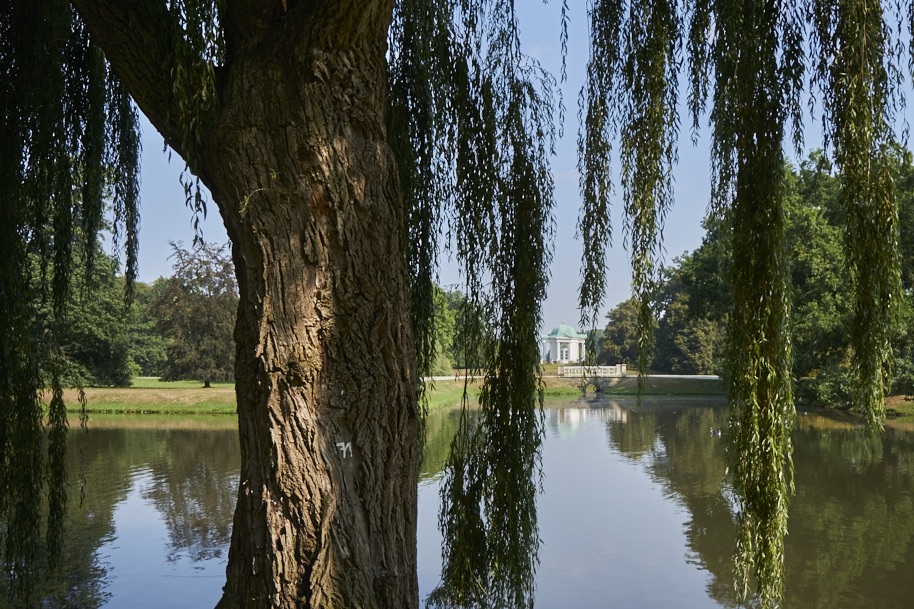 fuldaufer-kassel-insel-sieben-bergen-aue-staatspark-karlsaue-blumen-entdecken-pfau-lena-gehrmann-sebastian-tam-8