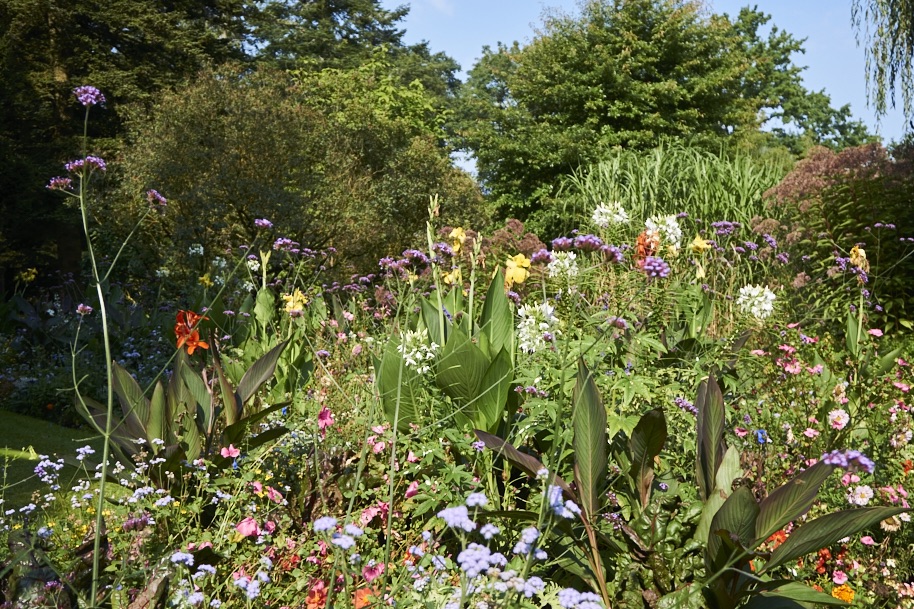 fuldaufer-kassel-insel-sieben-bergen-aue-staatspark-karlsaue-blumen-entdecken-pfau-lena-gehrmann-sebastian-tam-9