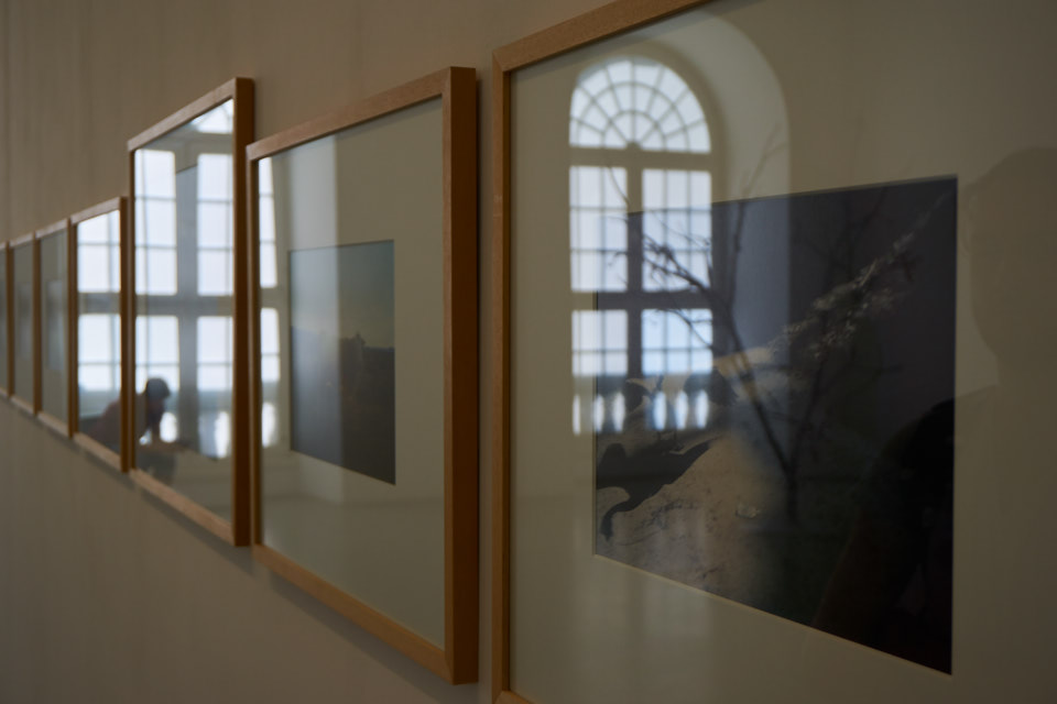Neue-Galerie-Galerie-Coucou-Westpavillion-Herkules-Wasserspiele-Museumsnacht-Kultur-FULDAUFER-LENA-GEHRMANN-SEBASTIAN-TAM 2