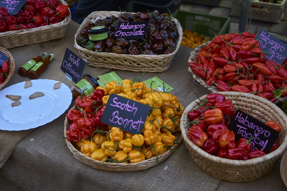 fuldaufer-melsungen-spazieren-herbst-spezialitaeten-festival-nordhessen-slowfood-erleben-kultur-kunst-lena-gehrmann-sebastian-tam-2