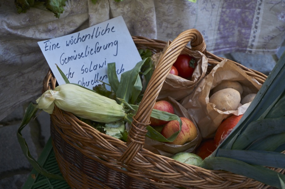 fuldaufer-melsungen-spazieren-herbst-spezialitaeten-festival-nordhessen-slowfood-erleben-kultur-kunst-lena-gehrmann-sebastian-tam-21