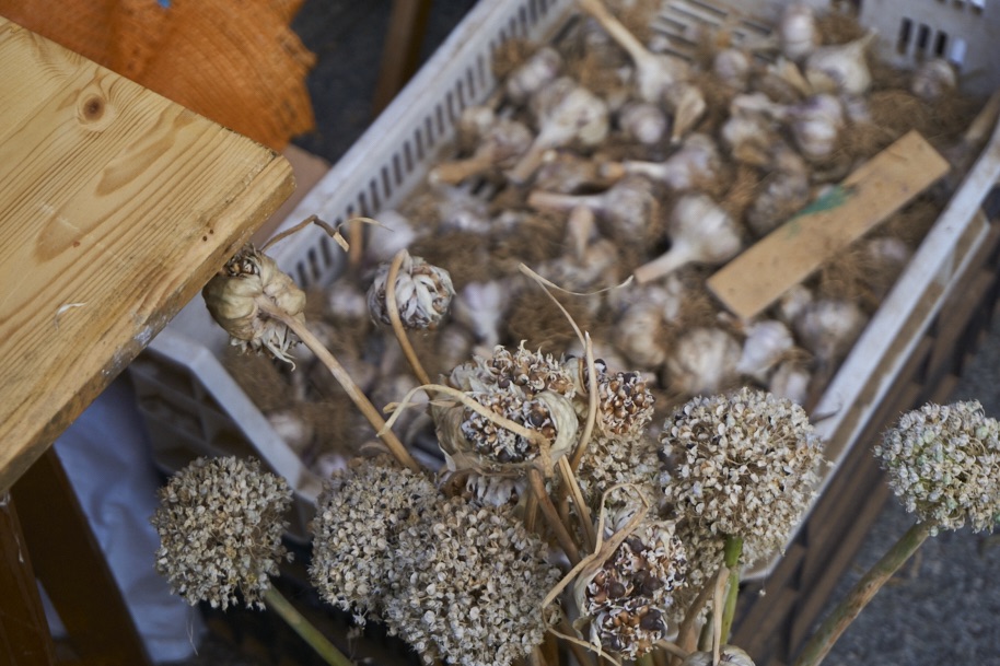 fuldaufer-melsungen-spazieren-herbst-spezialitaeten-festival-nordhessen-slowfood-erleben-kultur-kunst-lena-gehrmann-sebastian-tam-9