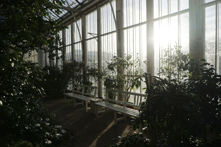 gewaechshaus-wilhelmshoehe-pflanzen-flora-bergpark-exotisch-ruhe-selten-voegel-winter-licht-fotografie-lena-gehrmann-sebastian-tam-1