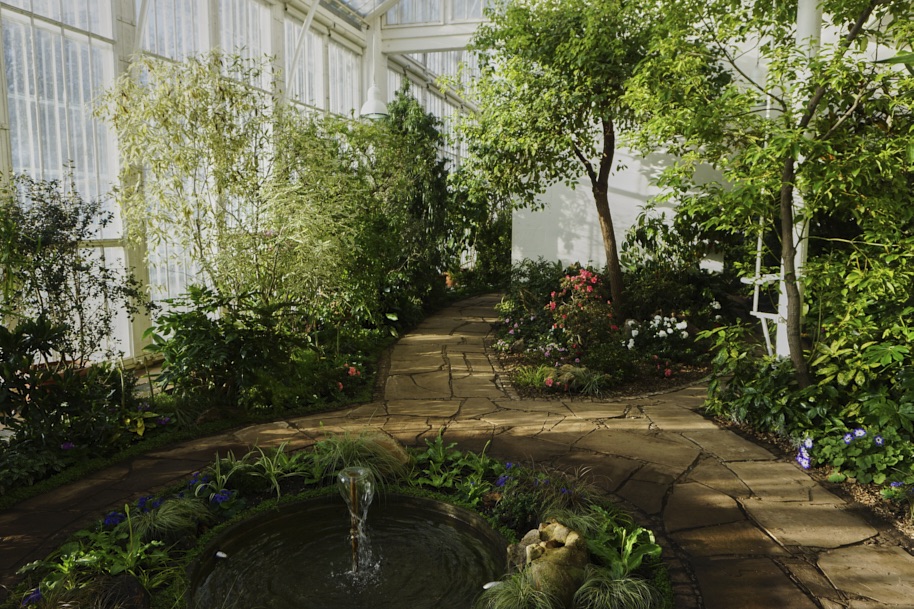 gewaechshaus-wilhelmshoehe-pflanzen-flora-bergpark-exotisch-ruhe-selten-voegel-winter-licht-fotografie-lena-gehrmann-sebastian-tam-14