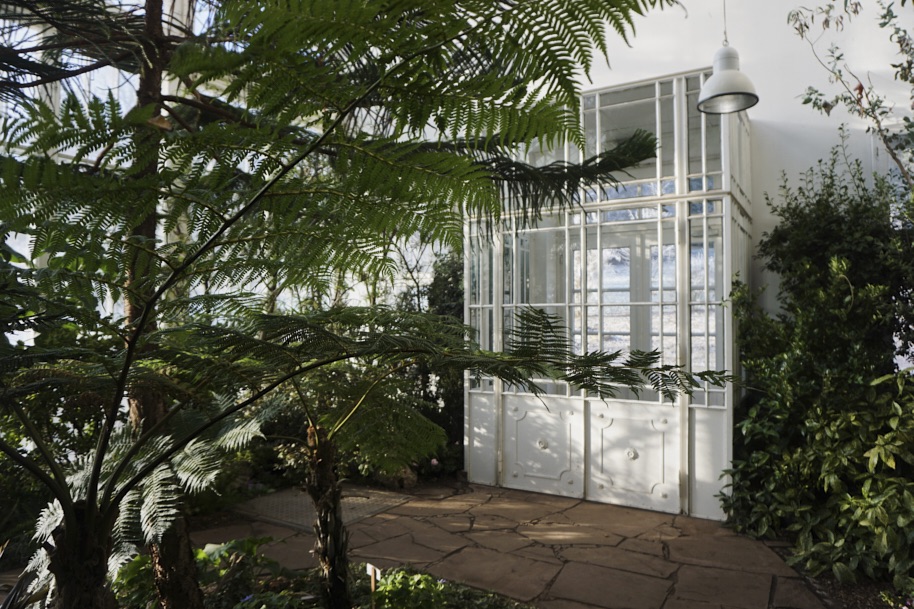gewaechshaus-wilhelmshoehe-pflanzen-flora-bergpark-exotisch-ruhe-selten-voegel-winter-licht-fotografie-lena-gehrmann-sebastian-tam-19