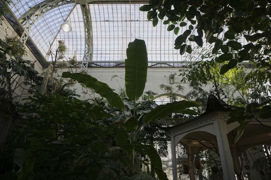 gewaechshaus-wilhelmshoehe-pflanzen-flora-bergpark-exotisch-ruhe-selten-voegel-winter-licht-fotografie-lena-gehrmann-sebastian-tam-5