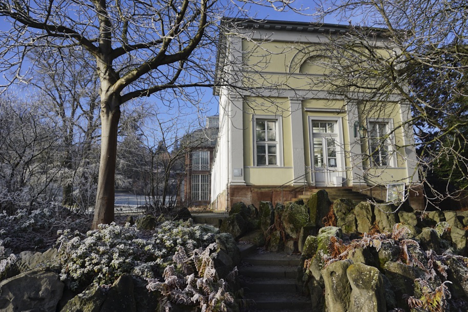 gewaechshaus-wilhelmshoehe-pflanzen-flora-bergpark-exotisch-ruhe-selten-voegel-winter-licht-fotografie-lena-gehrmann-sebastian-tam